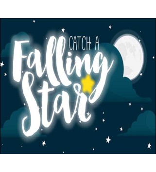 Catch a Falling Star Steam Key GLOBAL